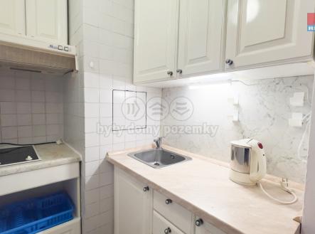 IMG_4167.jpg | Pronájem bytu, 1+kk, 29 m²