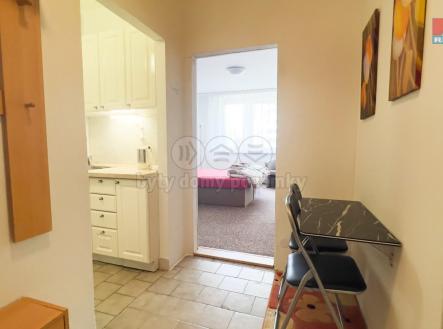 IMG_4171.jpg | Pronájem bytu, 1+kk, 29 m²