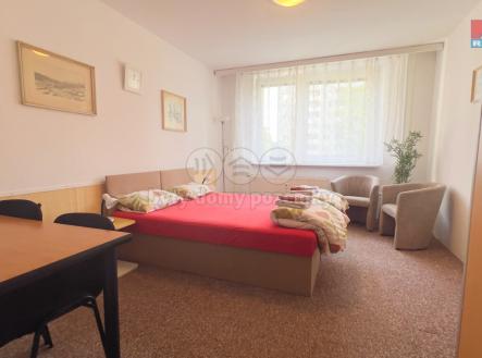 IMG_4160.jpg | Pronájem bytu, 1+kk, 29 m²