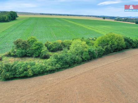 DJI_0651 kopie.jpg | Prodej - pozemek, les, 1 302 m²