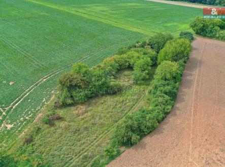 DJI_0666 kopie.jpg | Prodej - pozemek, les, 1 302 m²