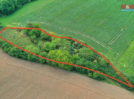 IMG_2590.jpeg | Prodej - pozemek, les, 1 302 m²