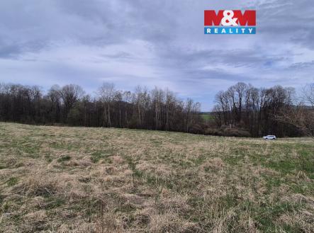 Louka | Prodej - pozemek, trvalý travní porost, 22 628 m²