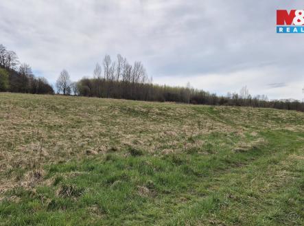 Louka | Prodej - pozemek, trvalý travní porost, 22 628 m²