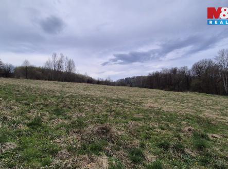 Louka | Prodej - pozemek, trvalý travní porost, 22 628 m²