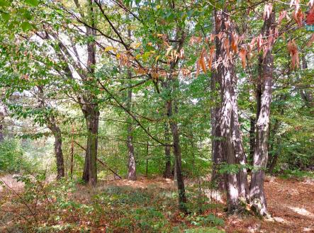 918279 - Pronájem zahrady, 2295 m², Stříbrná Skalice | Pronájem - pozemek, zahrada, 2 295 m²