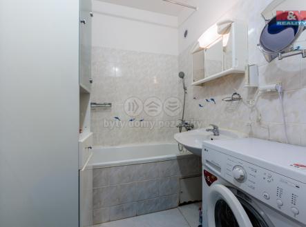 044A3204.jpg | Pronájem bytu, 3+1, 74 m²