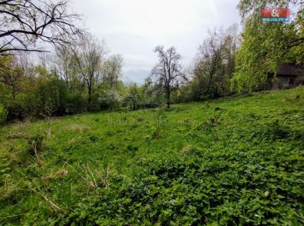 IMG_20250424_104213267~2.jpg | Prodej - pozemek pro bydlení, 2 730 m²