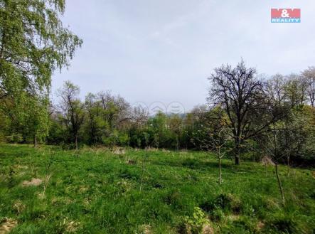 IMG_20250424_104342648.jpg | Prodej - pozemek pro bydlení, 2 730 m²