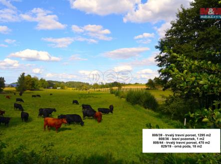 917572 - Prodej pozemků, 27953 m², Štoky | Prodej - pozemek, zemědělská půda, 27 953 m²