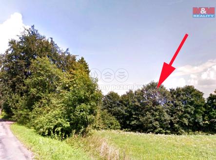 pozemek | Prodej - pozemek, trvalý travní porost, 7 064 m²