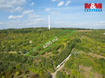 24 (1).jpg | Prodej - pozemek, zemědělská půda, 4 295 m²