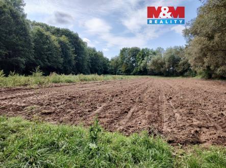 image_B8814FF1-C23D-4809-AD29-CD03A5364056_1757793735.jpeg | Prodej - pozemek, zemědělská půda, 5 882 m²