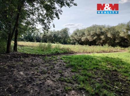 image_8AF9DA00-A6BC-48F7-8F27-75AFDF1DA90B_1757793735.jpeg | Prodej - pozemek, zemědělská půda, 5 882 m²