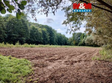 image_90179B32-8AEB-4273-B07B-22846F67E7C6_1757793735.jpeg | Prodej - pozemek, zemědělská půda, 5 882 m²