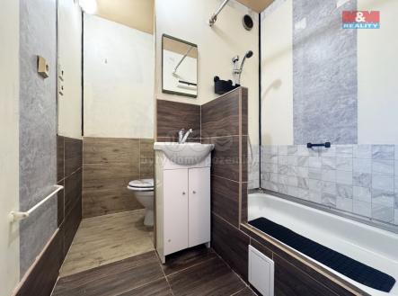 IMG_9394.jpg | Pronájem bytu, 1+kk, 25 m²