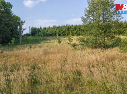 Pozemek pohled 2 | Prodej - pozemek, trvalý travní porost, 5 500 m²