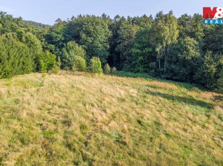 Pozemek pohled 1 | Prodej - pozemek, trvalý travní porost, 5 500 m²