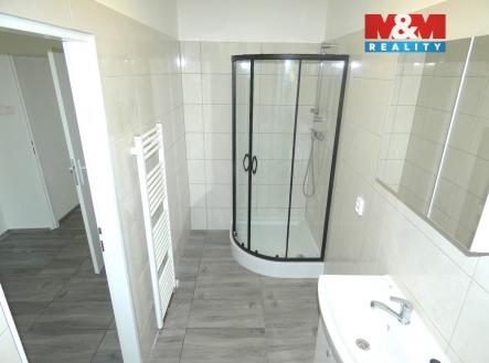 TE-cho a koupel.jpg | Pronájem bytu, 2+1, 65 m²