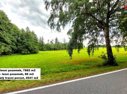 917575 - Prodej pozemků, 21303 m², Štoky | Prodej - pozemek, les, 21 303 m²