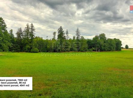917575 - Prodej pozemků, 21303 m², Štoky | Prodej - pozemek, les, 21 303 m²