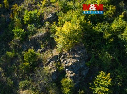 22 (1).jpg | Prodej - pozemek, les, 7 450 m²