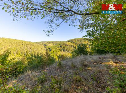 4 (4).jpg | Prodej - pozemek, les, 7 450 m²