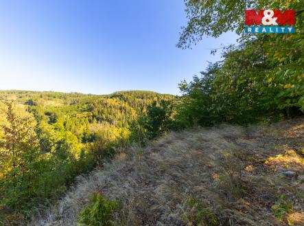 5 (3).jpg | Prodej - pozemek, les, 7 450 m²