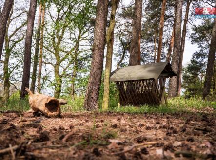 79ed9643-974d-4b02-936b-dac523862cab.jpeg | Prodej - pozemek, les, 7 342 m²