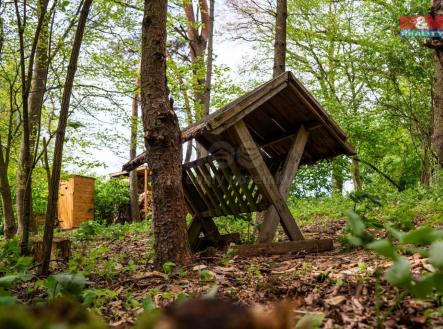 5faf9815-46d2-4313-a848-0d03a39219f1.jpeg | Prodej - pozemek, les, 7 342 m²