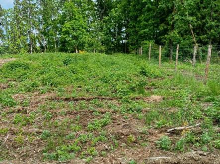 Les 10.jpg | Prodej - pozemek, les, 9 634 m²