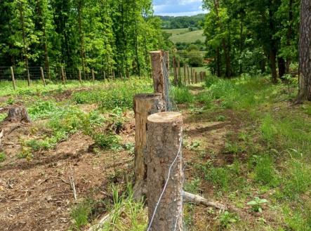 Les 12.jpg | Prodej - pozemek, les, 9 634 m²