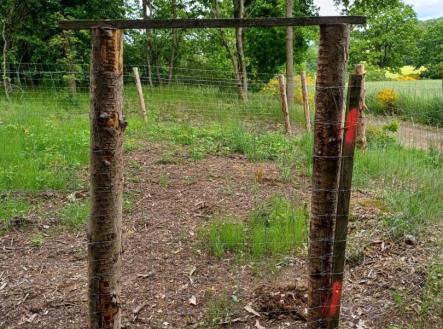 Les 14.jpg | Prodej - pozemek, les, 9 634 m²