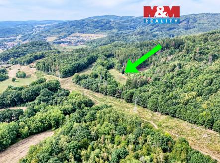 pozemek | Prodej - pozemek, trvalý travní porost, 7 660 m²