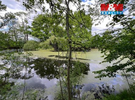 image_9B1C531B-FF9F-478B-B08A-F0593F13485D_1757769536.jpeg | Prodej - pozemek, ostatní, 7 142 m²