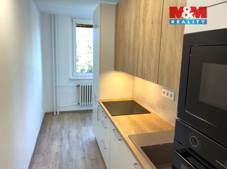 IMG_0668.jpeg | Pronájem bytu, 2+1, 48 m²