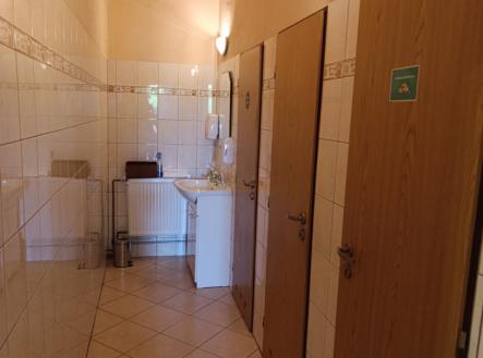 IMG_prostor sanit.jpg | Pronájem - obchodní prostor, 60 m²