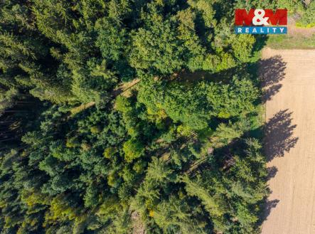 DJI_20250920111829_0012_D.jpg | Prodej - pozemek, les, 1 757 m²