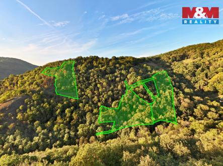 pozemky | Prodej - pozemek, les, 23 067 m²
