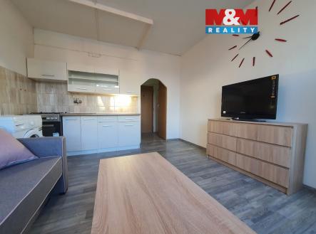 20230208_094239(0).jpg | Pronájem bytu, 1+kk, 20 m²