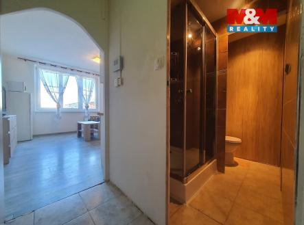 20230208_094545.jpg | Pronájem bytu, 1+kk, 20 m²