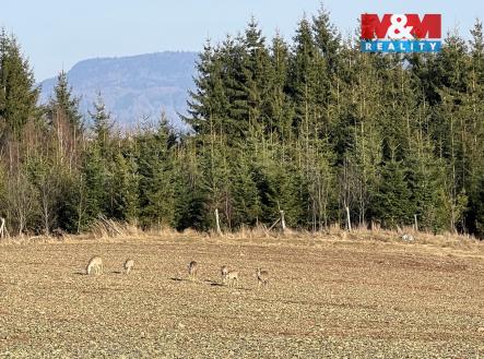 IMG_9103.jpeg | Prodej - pozemek, zahrada, 6 000 m²