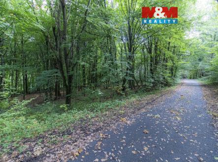 IMG_0857.jpg | Prodej - pozemek, zahrada, 10 316 m²