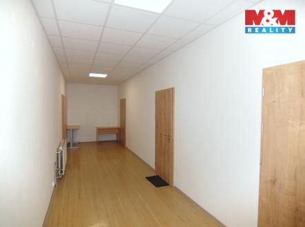 11N_5952.jpg | Pronájem - kanceláře, 17 m²
