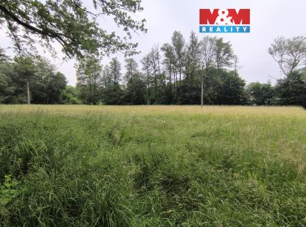 h8.jpg | Prodej - pozemek, les, 20 128 m²