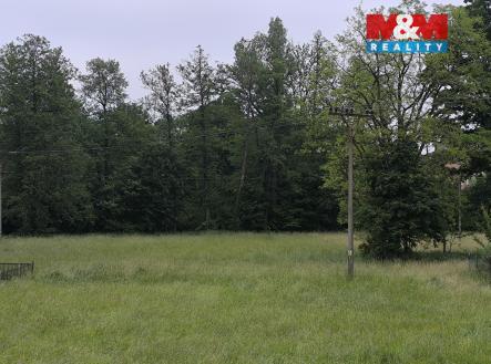 h9.jpg | Prodej - pozemek, les, 20 128 m²