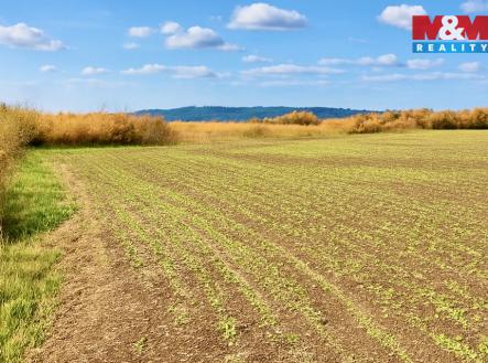 2A5BF753-8EA5-43F3-A5BC-986B467D039C.jpeg | Prodej - pozemek, zemědělská půda, 9 215 m²