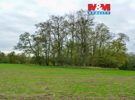 Pohled na les | Prodej - pozemek, les, 1 252 m²