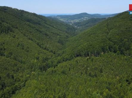 les.jpg | Prodej - pozemek, les, 207 244 m²