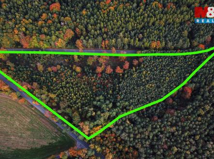 DJI_0092 kopie.jpg | Prodej - pozemek, les, 26 435 m²
